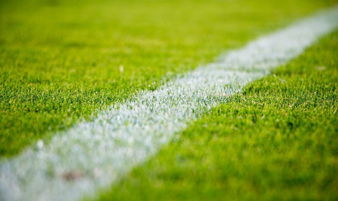 Futebol e política no Brasil: uma relação complexa