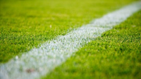 Futebol e política no Brasil: uma relação complexa